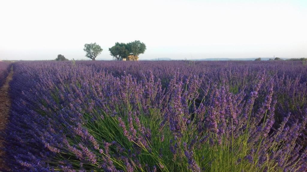 Suite Prive Chez Dunja Roumoules Bagian luar foto